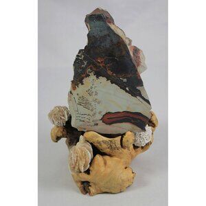 Death Valley Paint Stone Navajo Blanket Specimen Rough/Polished Face with Stand